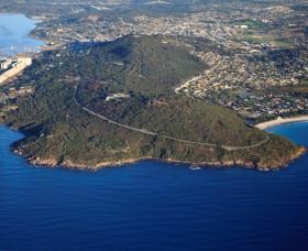 Rotary Lookout - Tourism TAS 0