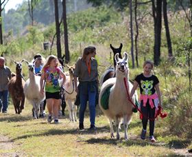 Fulham QLD Tourism TAS