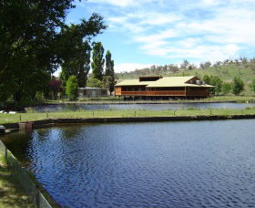 Gaden Trout Hatchery - Tourism TAS 0