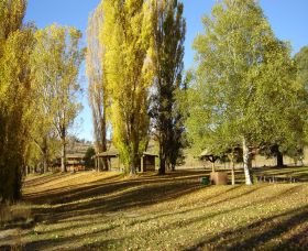 Gaden Trout Hatchery - Tourism TAS 1