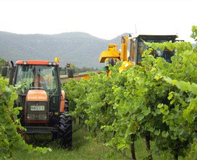 Stomp! Wines - Tourism TAS 8