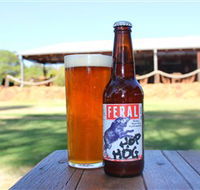Feral Brewing Company - Tourism TAS