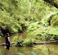 Morwell National Park - Tourism TAS