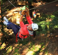 Trees Adventure Grose River Park - Hobart Tourism