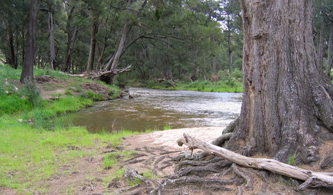 Bangadilly National Park - Hobart Tourism 3