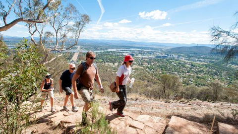 Mount Ainslie Lookout - Tourism TAS 2