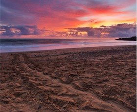 Mon Repos Beach - Tourism TAS 0