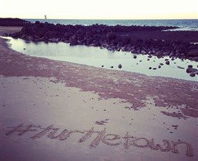 Mon Repos Beach - Tourism TAS 1