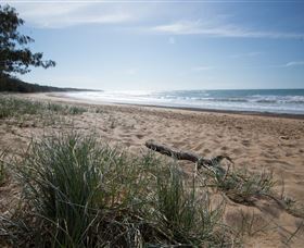 Mon Repos Beach - Tourism TAS 2