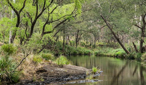 Koreelah National Park - Hobart Tourism 1