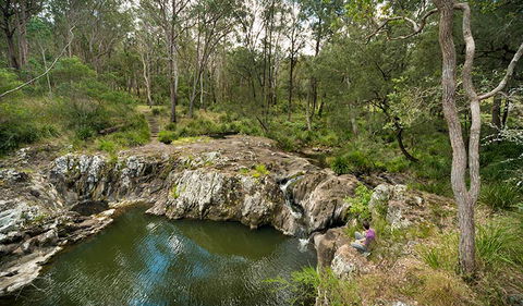Koreelah National Park - Hobart Tourism 2