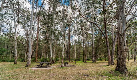 Koreelah National Park - Hobart Tourism 3