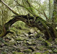 Mitchell River National Park - Tourism TAS