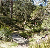 Wollomombi walking track - Hobart Tourism