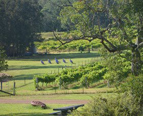 Wollombi Wines - Tourism TAS 8