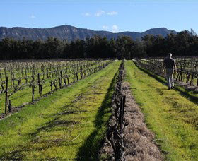 Around Hermitage Wine And Food Trail Hunter Valley - Tourism TAS 1