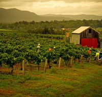 Around Hermitage Wine and Food Trail Hunter Valley - Tourism TAS