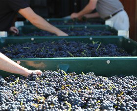 Around Hermitage Wine And Food Trail Hunter Valley - Tourism TAS 6