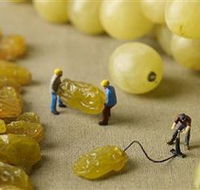 Hunter Valley Wine School - Tourism TAS
