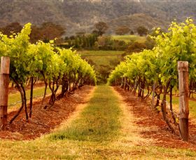 Hunter Valley Wine School - Tourism TAS 1
