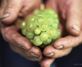 Keith Tulloch Wine - Tourism TAS 1