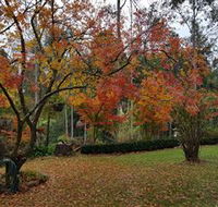Bellbird Cottage - Tourism TAS