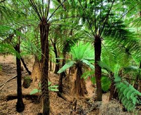 Naracoopa TAS Tourism TAS