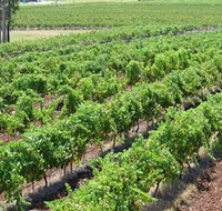 Pokolbin Brothers Wines Hunter Valley - Tourism TAS