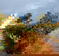 Bimbadgen Winery - Tourism TAS