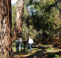Tallaganda National Park - Hobart Tourism