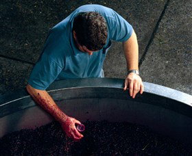 Calais Estate Wines - Tourism TAS 2