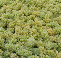 Normanby Wines - Hobart Tourism