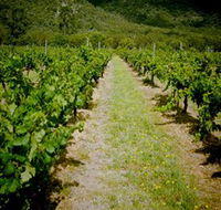Gartelmann Wines - Tourism TAS