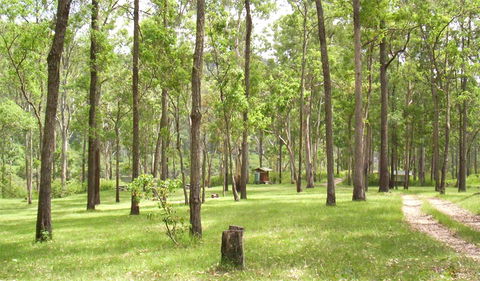 Nymboida National Park - Hobart Tourism 2