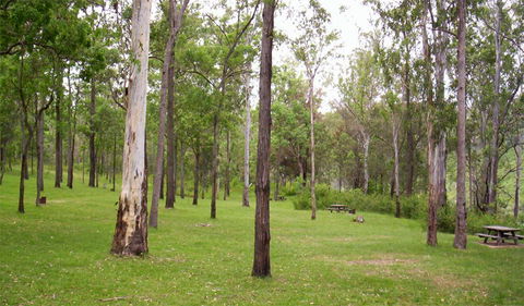 Nymboida National Park - Hobart Tourism 3