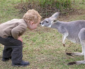 Hunter Valley Zoo - Tourism TAS 3