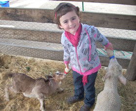 Hunter Valley Zoo - Tourism TAS 4