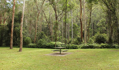 Dharug National Park - Tourism TAS 3