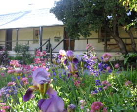 Raglan Gallery And Cultural Centre - Tourism TAS 0
