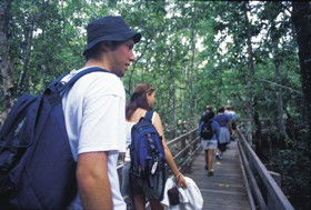 Bellthorpe QLD Hobart Tourism