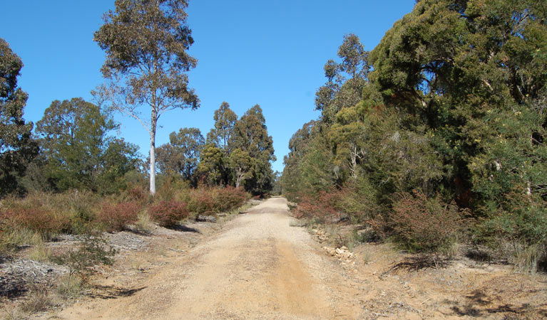 Elrington NSW Tourism TAS
