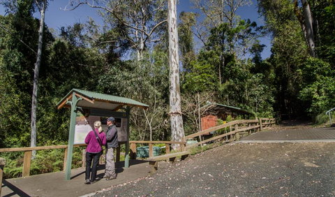 Copeland Tops State Conservation Area - Tourism TAS 2