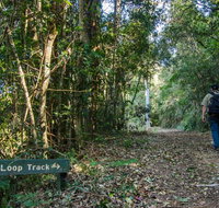 Basin Loop track - Tourism TAS