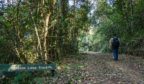 Basin Loop Track - Hobart Tourism 0