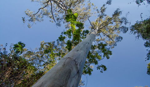 Basin Loop Track - Hobart Tourism 2