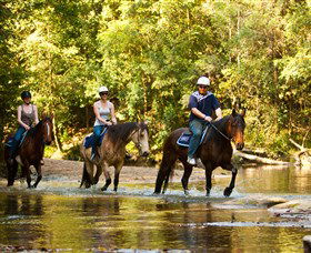 Glenworth Valley Outdoor Adventures - Tourism TAS 2