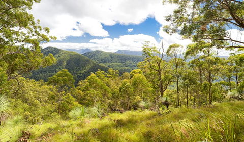 Toonumbar National Park - Hobart Tourism 0