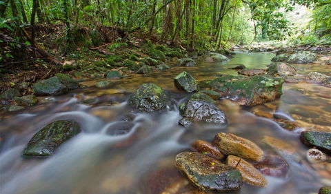 Toonumbar National Park - Hobart Tourism 1