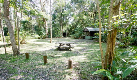 Toonumbar National Park - Hobart Tourism 3
