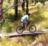 The Steps Mountain Bike Park - Tourism TAS